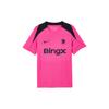 New Nike Chelsea FCDri Fit FW24 Soccer Jersey Men's Pink FQ2607-659