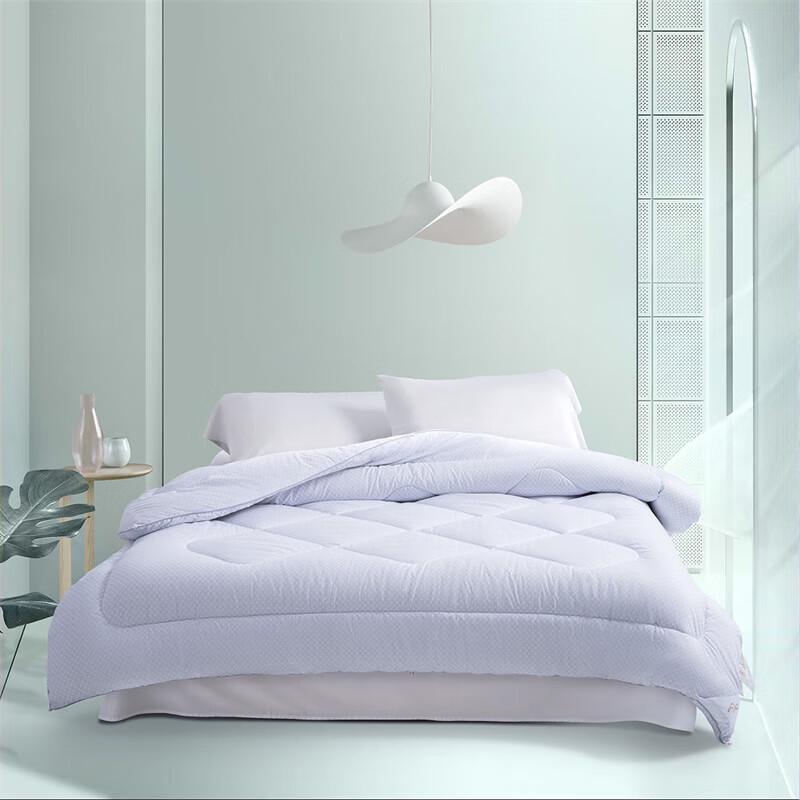 

Mercury Home Textiles Antibacterial Winter Quilt