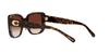 Coach Sunglasses HC8352 CD472 512013 DARK TORTOISE 54 Women's
