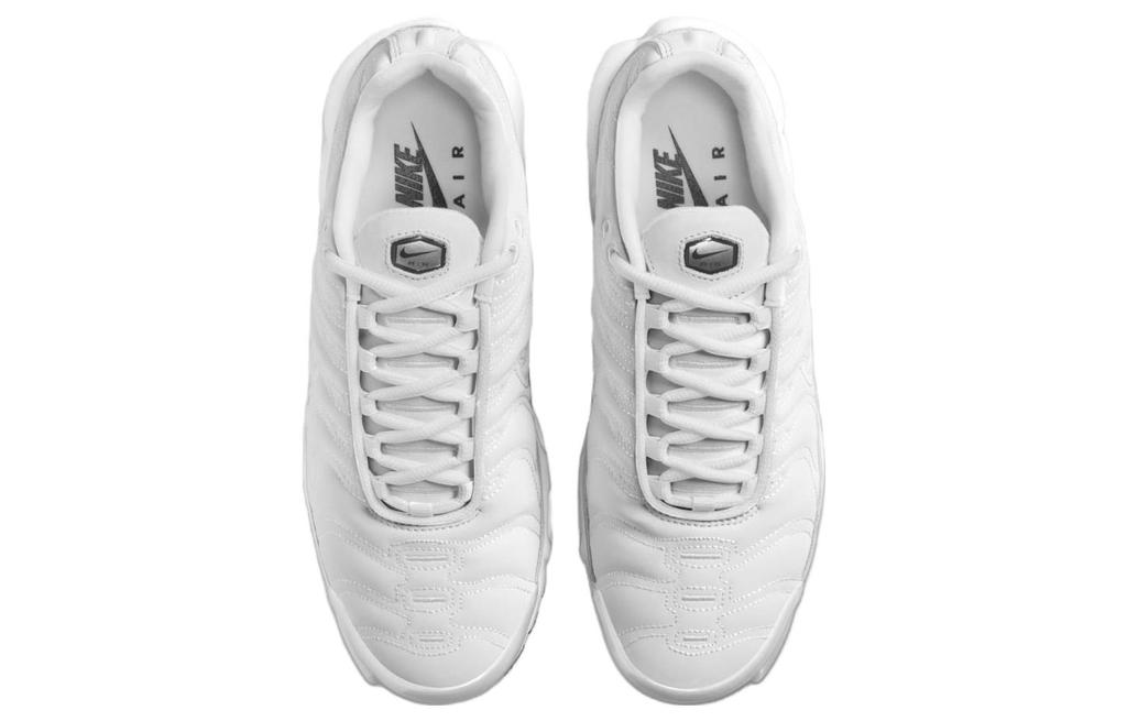 Nike Air Max Plus Platinum Tint Women's FZ4342-001
