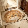 Absorbent Entryway Rug Diatomite Pet Floor Mat Practical Cat Print Doormat  Hallway