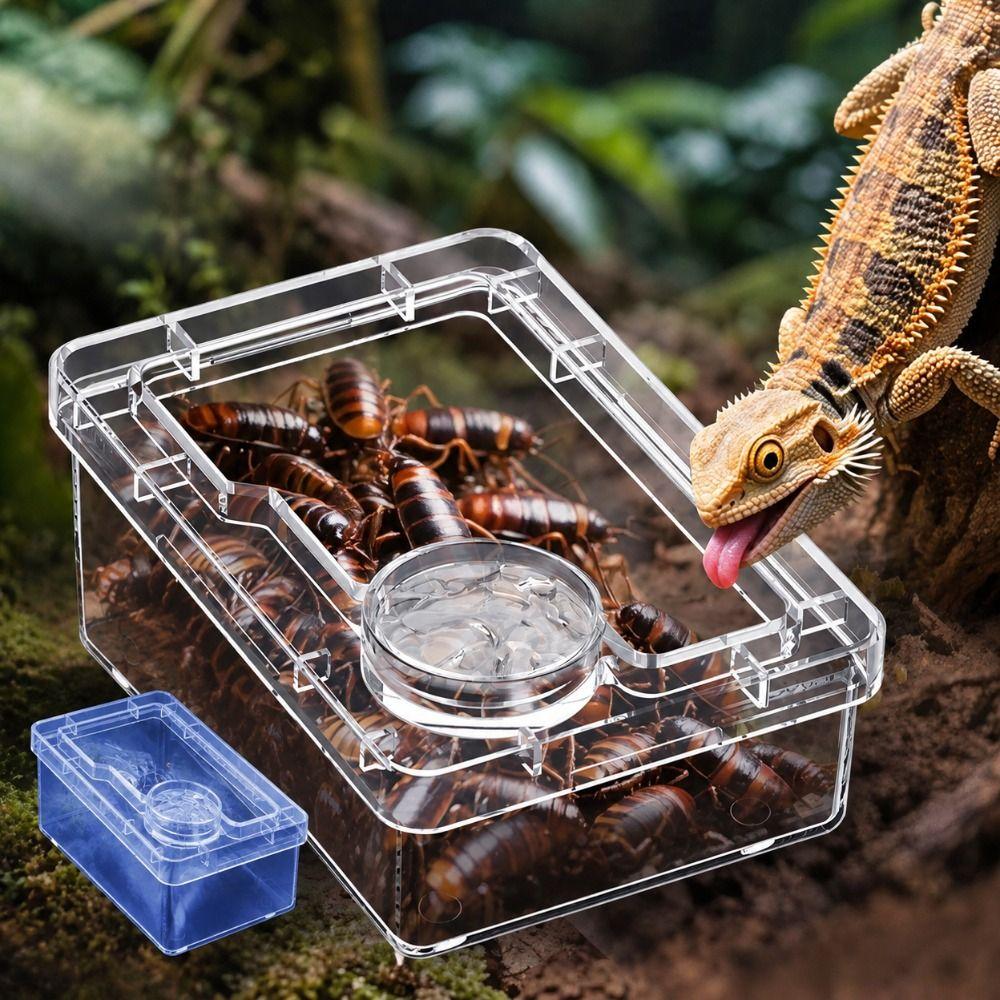 Non-Toxic Pet Feeding Bowls Easy Clean Reptile Feeder Dish Habitat Accessories