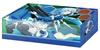 Bushiroad Storage Box Collection V2 Sword Art Online 10th Anniversary Vol.219 "Sinon"