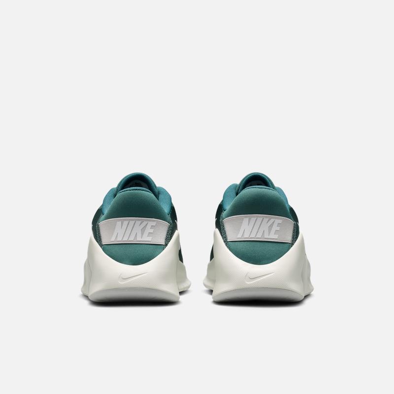 Nike FLEX TRAIN Men's Training Shoes HV9972