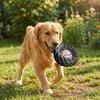 Giocattolo Interattivo Cane Elastico Suono Squeak Ruota Masticabile Cane Giocattoli Creativi per la Masticazione Gioco Indoor