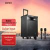 Edifier PW312 12-inch Portable Outdoor Speaker
