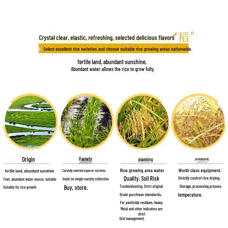 Mentholatum Bluebell Hand Cream & Arawana Pearl Rice Bundle