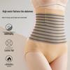 Seamless High-Waisted Postpartum Shaping Panties with Strong Abdomen Control - Hip-Lifting Plus Size Waist Cincher for Women.
