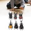 6pcs Simulation Beetle Insect Model Halloween Trick Props NonToxic PVC Insect Toy(Black )