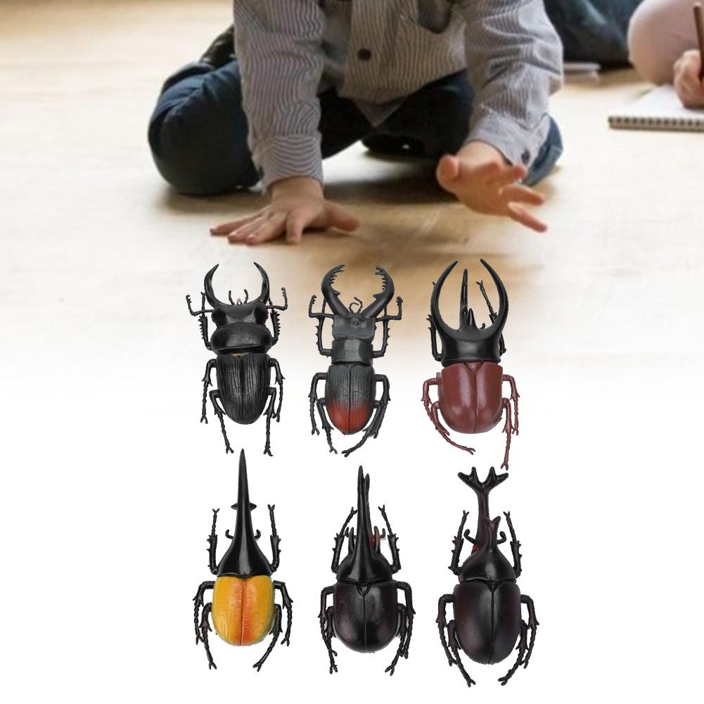 6pcs Simulation Beetle Insect Model Halloween Trick Props NonToxic PVC Insect Toy(Black )