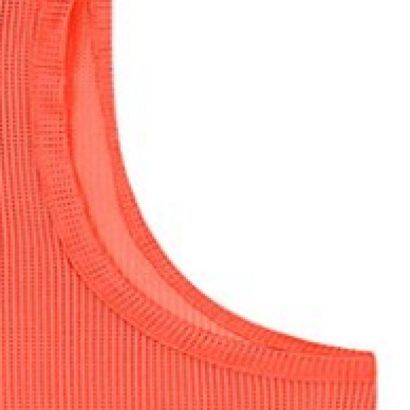 Puma Team Vest Bib Vest