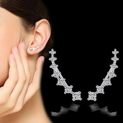 Zirconia Earrings Silver Needle Clip-on Women's Earrings