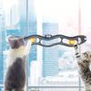 Multi-function Clear Suction Cup Cat Toy with Wall-Mounted Track Ball and Table Tennis Ball