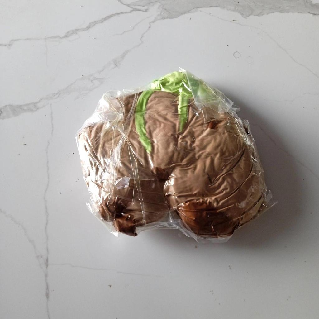 Cute Turtle Capybara Plush Doll - Perfect Gift for Girls