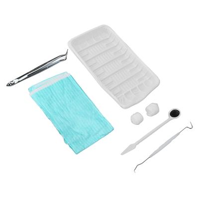 Dental Hygiene Tool Kit Disposable Inspection Equipment Teeth Cleaning Tools Set for Dentist