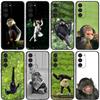 Huse pentru telefoane – Huse tip bumper pentru telefon
