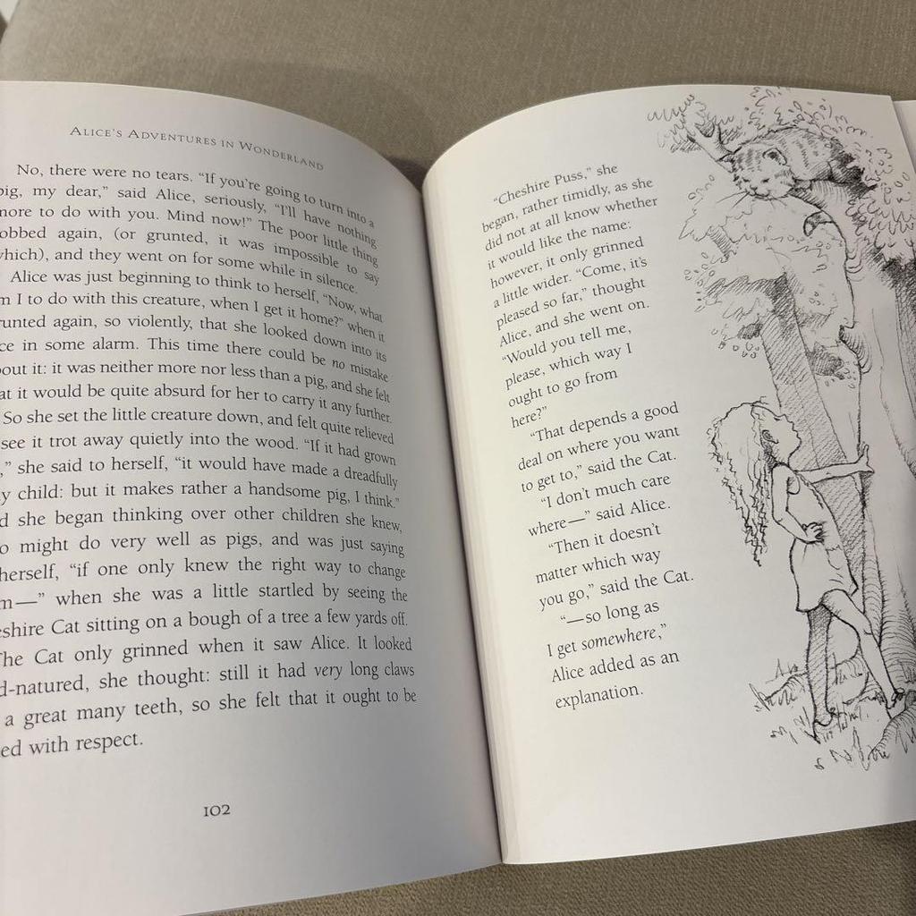 [USED] Foreign Books: Alice in Wonderland