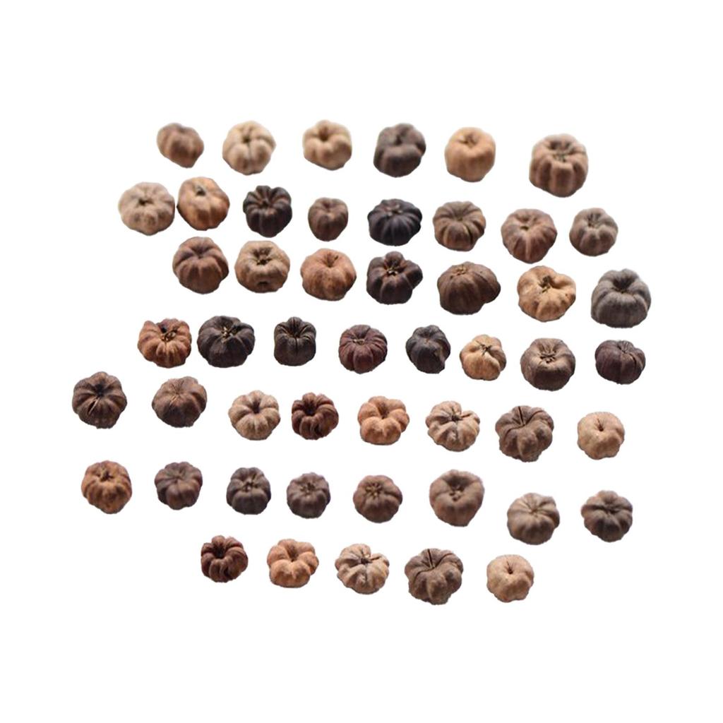 50x Mini Dynie Dekoracja do Rękodzieła Ozdoby Wypełniacz do Wazonów Mini Dynie na Święto Dziękczynienia Ślub Wianek Potpourri DIY Dom