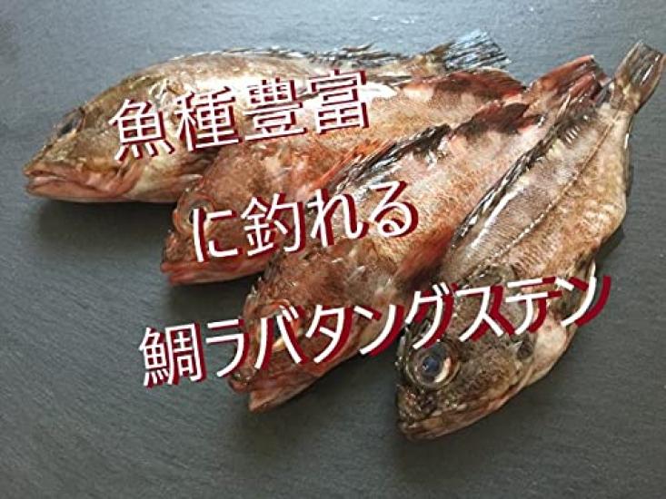 Tungsten Tairaba Head Induction Sinker Type A Ryoga TG Crimson Gold 1 of 3 pieces total + (45g, Glitter, Glitter) - each,