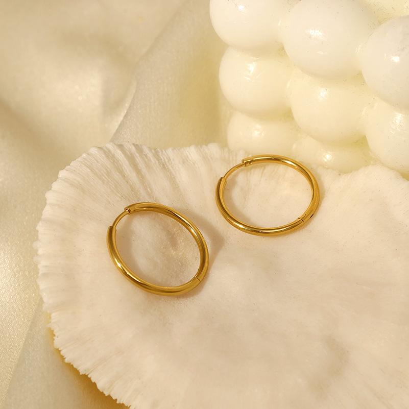 Niche Design Size Circle Light Luxury Temperament Titanium Steel Gold-Plated Earrings Jewelry Women