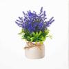 Plastic Artificial Flower Bonsai Fake Plant Flowers Potted Ornament Simulation Succulents Evergreen Bonsai Desktop Decoration