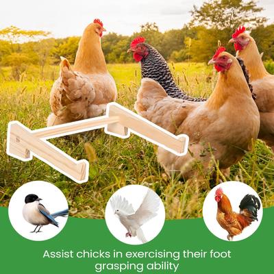 Percha para gallinero Percha de entrenamiento para aves de corral Barra de posado de madera Para gallinas polluelos pájaros loro Juego de posado Soporte de entrenamiento de posado Criadora