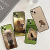 Animal Capybara Case For OPPO Reno 14 10 11 12 13 Pro 11F 12F 13F 14F 7 8 Lite OPPO Find X9 X8 X5 Pro Cover