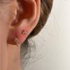 Small Sweet Zirconia Earrings Shiny Temperament Elegant Minimalist Studs Affordable Dainty Women's Versatile Daily Wear Earrings