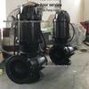 300WQ800-8 High Flow Non-Clogging 12-Inch Submersible Sewage Pump for Wastewater