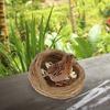 2pcs Straw-woven Breeding Nests egg-laying Nests Small Chicken Laying Nest Small Animal Bird Sleeping House Chicken Coop