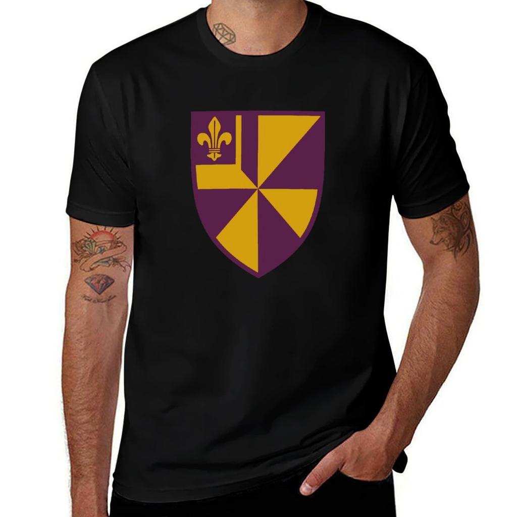 Albion College Tshirt Plus Size Nonshrink Tshirt