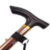 Brangdy Adjustable Trekking Pole