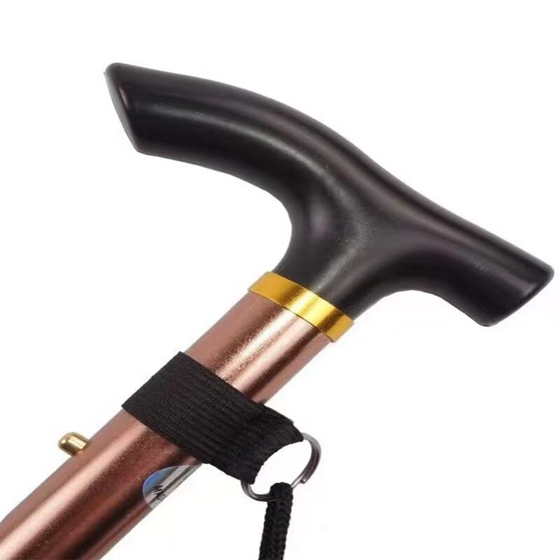 Brangdy Adjustable Trekking Pole