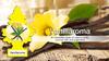 Little Tree Air Freshener [Vanillaroma 6pac] Great value set of
