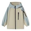 Little Elephant Ham Boys' Outdoor Triple-Proof Hooded Jacket