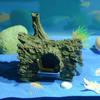 Aquariums Landscape Driftwood Resins Aquariums Decorations Art Crafts Terrarium Habitat Ornaments Photo Props