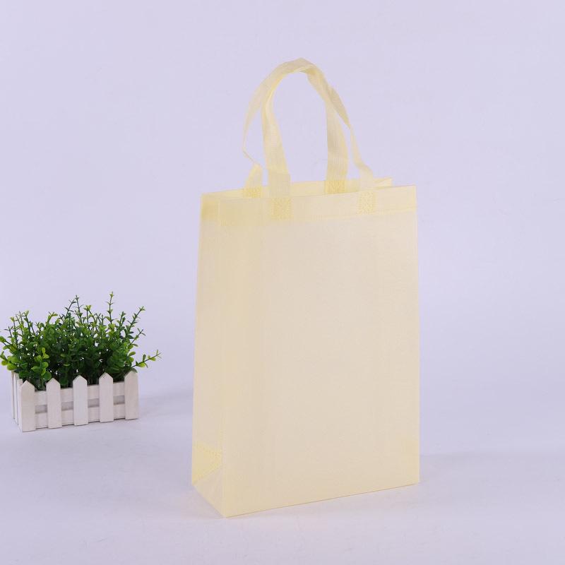 Eco-friendly High-end Non-woven Tote & Garment Bag