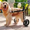 Hunderollstuhl für mittlere/große Hunde zur Rehabilitation der Hinterbeine und zur Mobilitätsunterstützung