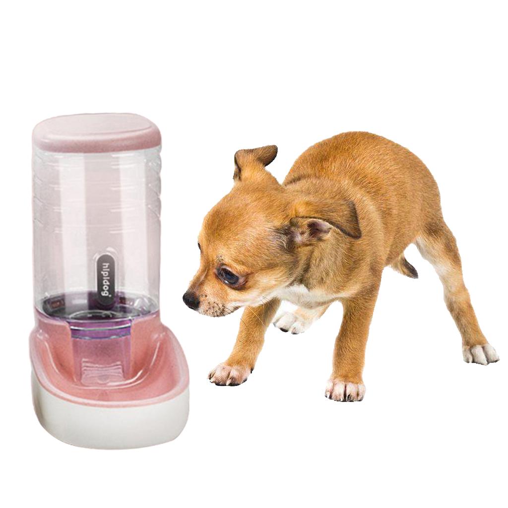 automatic pet feeder for large dogs