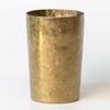 HORIE Titanium Double Wall Tumbler Kamoyaki Light 270ml, Gold