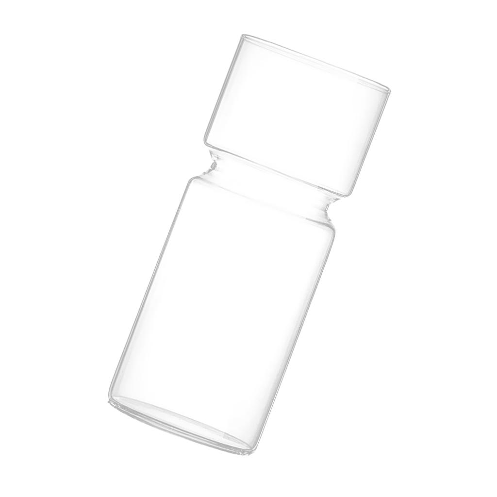 Clear Glass Flower Vase Hydroponic Plant Holder Container Bud Vase for Small Flowers