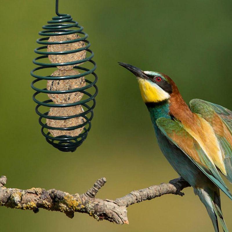 wild beak automatic feeders