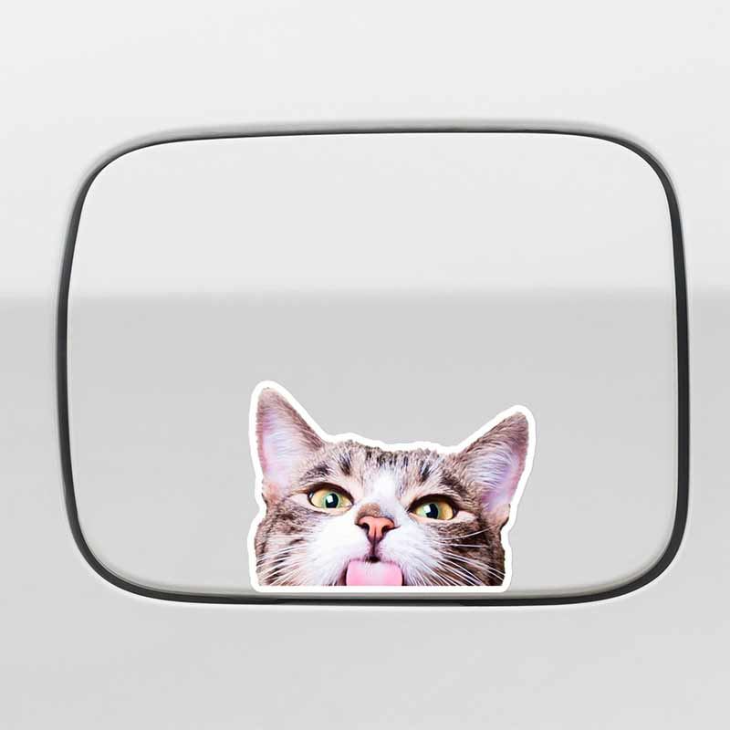 Hinter den Kulissen Katze Autoaufkleber Aufkleber Katze schaut aus Autofenster Wasserdicht Vinyl Stoßstange Laptop Geschenk für Katzenliebhaber Outdoor-Aufkleber TM223