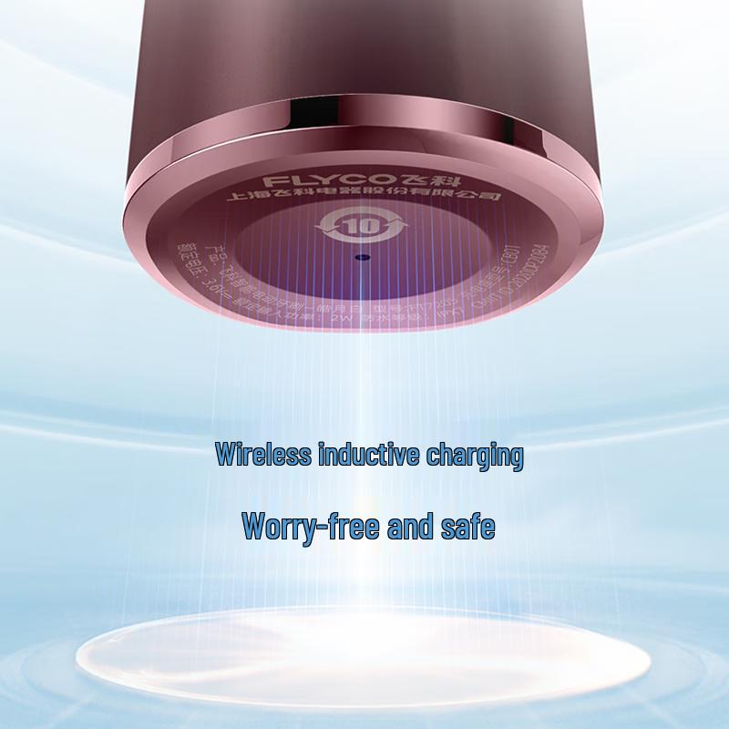 FLYCO FT7205 Bluetooth Smart Sonic Electric Toothbrush