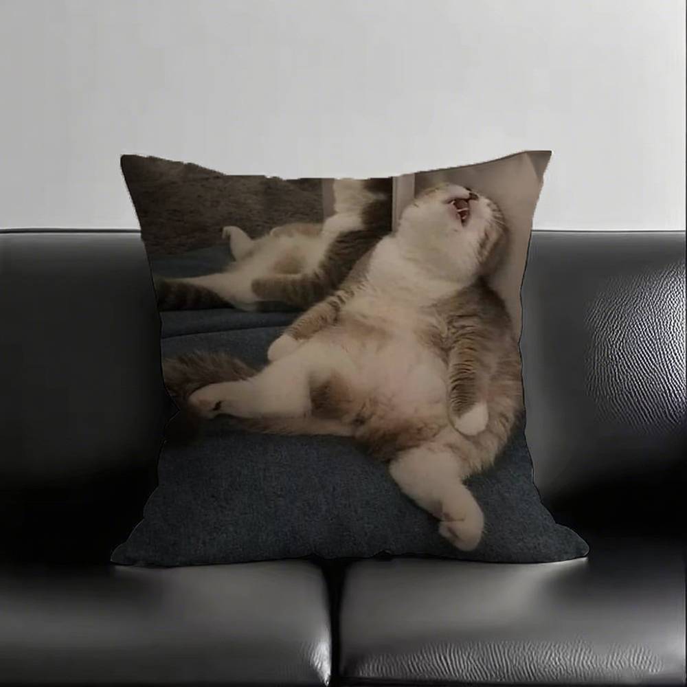 1pc Sleeping Kittens Pillow Case Square Bedroom Sofa Leisure Comfort Cushion Car Living Room Home Decoration
