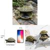 Schildkrötenharz-Aufbewahrungsbox im modernen minimalistischen Design für die Wohnzimmerdekoration