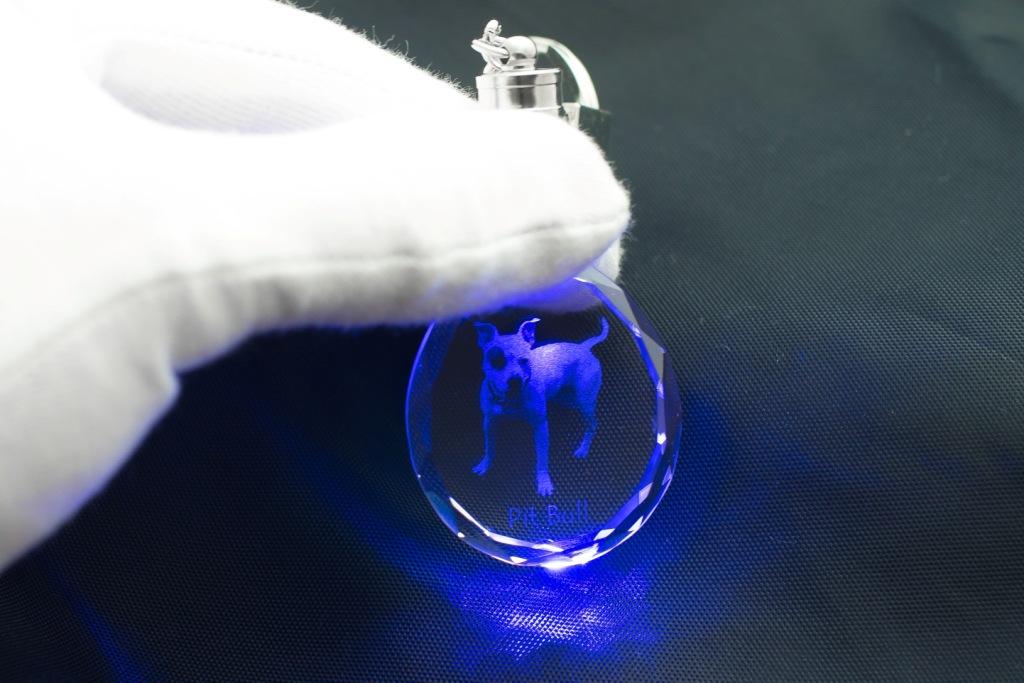 Pit Bull, American Pit Bull Terrier, Pitbull Terrier, APBT - Pendant with a Photo of a Dog, Crystal Key Ring In a Gift Box, a Unique Gift by Art-Dog