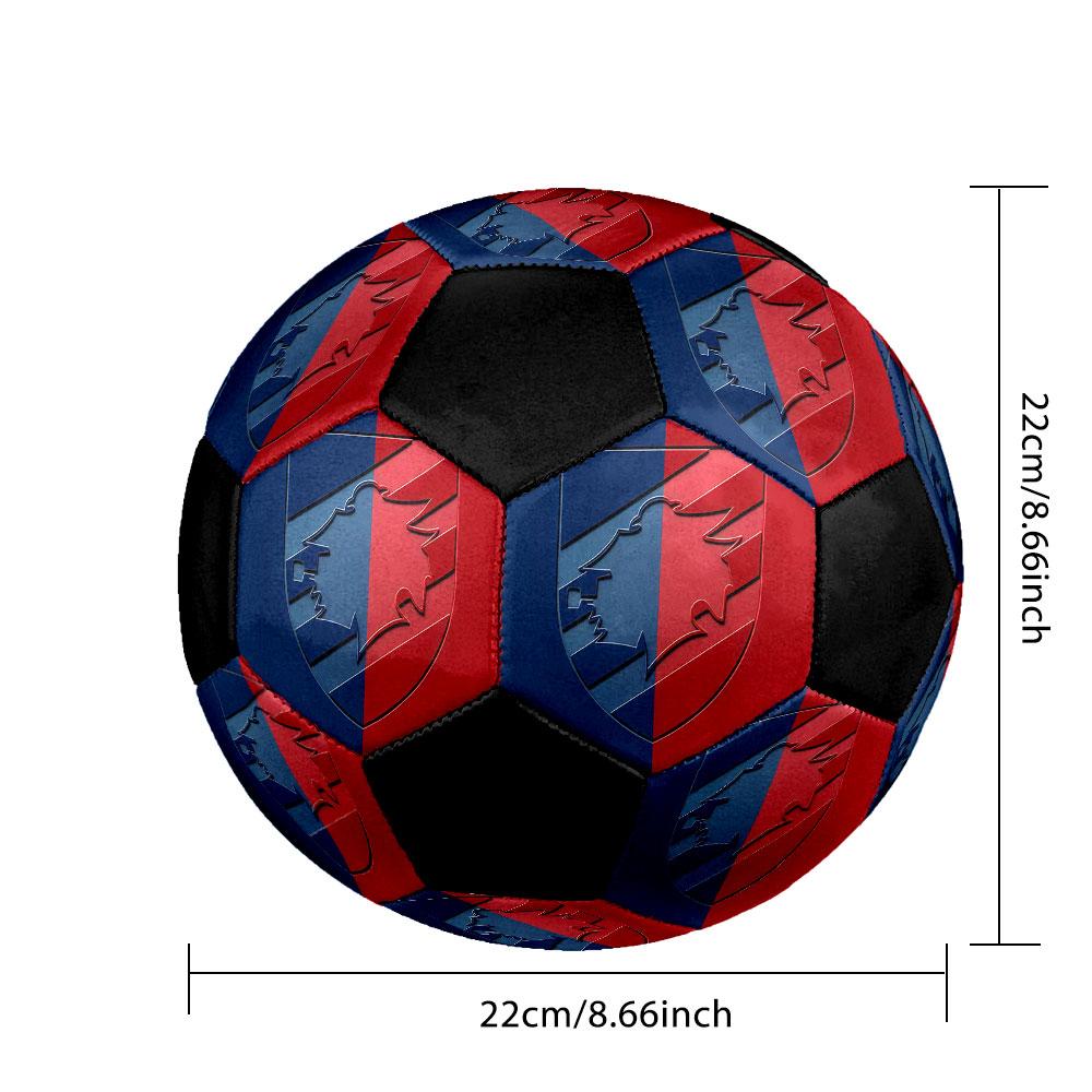 1 PZ U.C. Sampdoria taglia 5 pallone da calcio PrahaPallone da calcio indoor Colorato Per tutte le età Cucito a macchina PVC Pronto per la competizione Resistente Alta rimbalzabilità