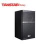 Takstar EKS-101 10-inch Professional Full-Range Smart Speaker