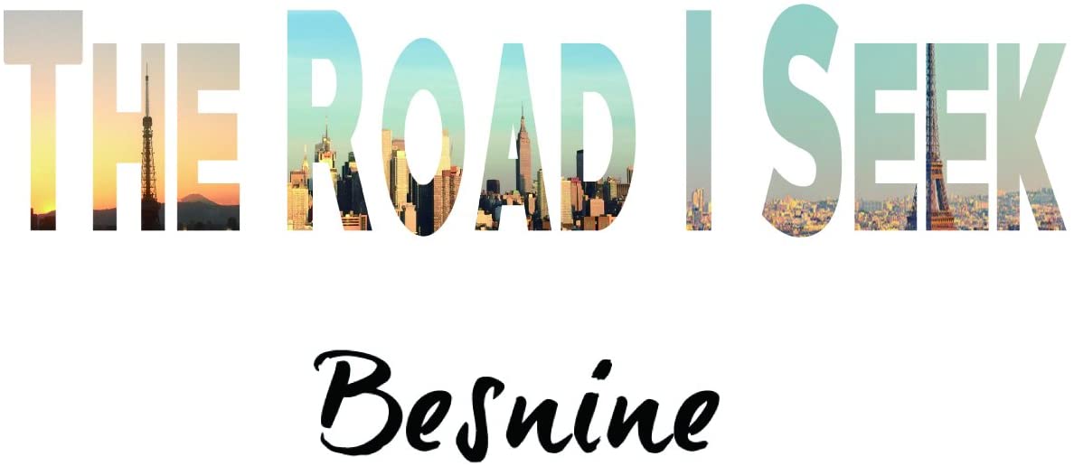

CD BESNINE - The Road I Seek TRJC1042 Japan ObiDance & Electronica Used